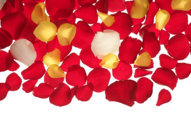 renkli gül yaprağı deseni duvar kağıdı doku