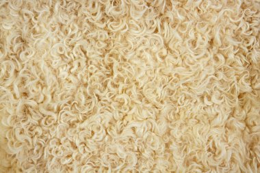 Lamb wool macro texture closeup cream color clipart