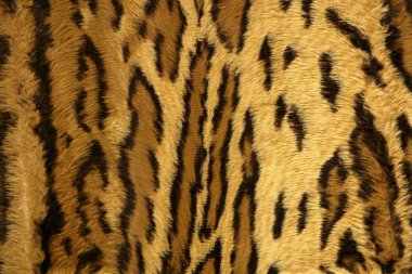 Jaguar leopard fantasy fabric fur texture clipart