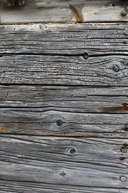 Aged weathered gray okd vintage wood wall door clipart