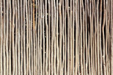 Stick white wood trunk fence tropical Mayan wall clipart