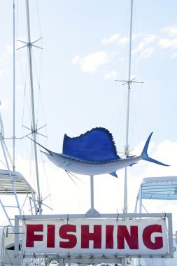 Mavi yelken balıkları balıkçı üzerinde florida üzerinde metin kopyalama