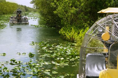 Airboat in Everglades Florida Big Cypress clipart