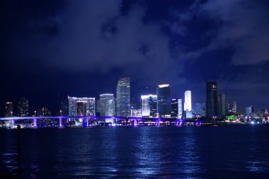 Miami downtown night water city reflexion clipart