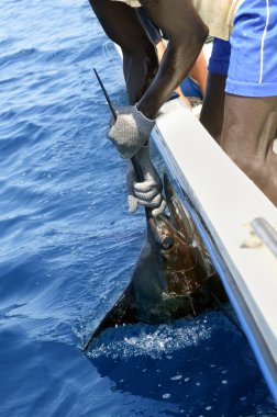 African man holding sailfish on sport fishing boat clipart