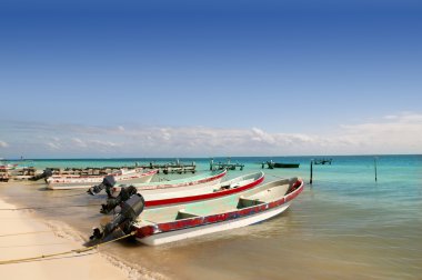 Maya Rivierası Meksika puerto morelos tekneler