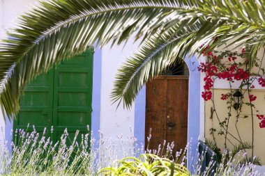 Ibiza bir Akdeniz Adası mimari evler