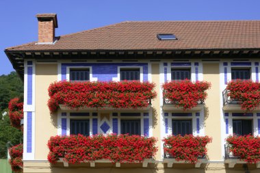 güzel çiçekli balkon navarra evde