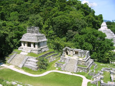 Palenque mayan ruins maya Chiapas Mexico clipart