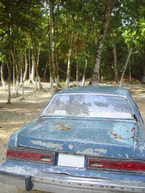 Orman yaşlı paslı eski Amerikan araç