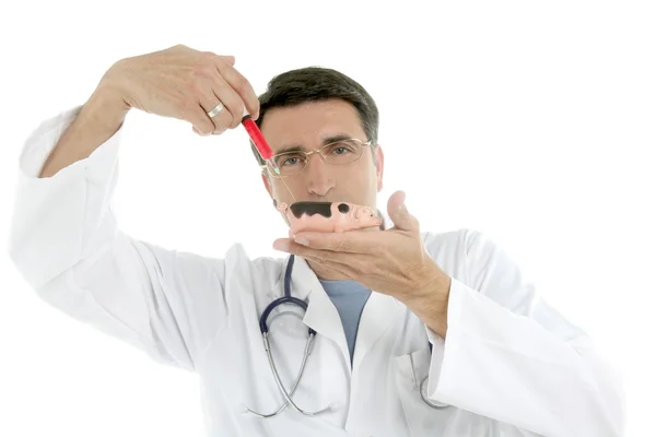Domuz gribi aşısı şırınga tutarak erkek doktor — Stok fotoğraf