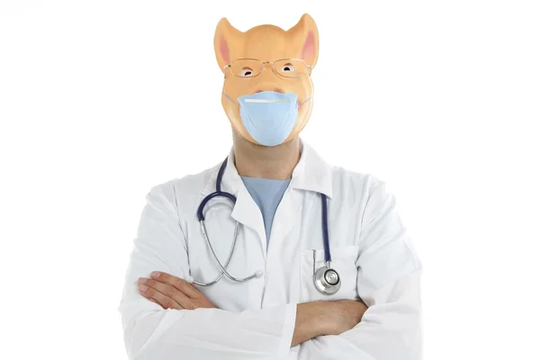 Doktor maskesi domuz, domuz gribi metafor — Stok fotoğraf