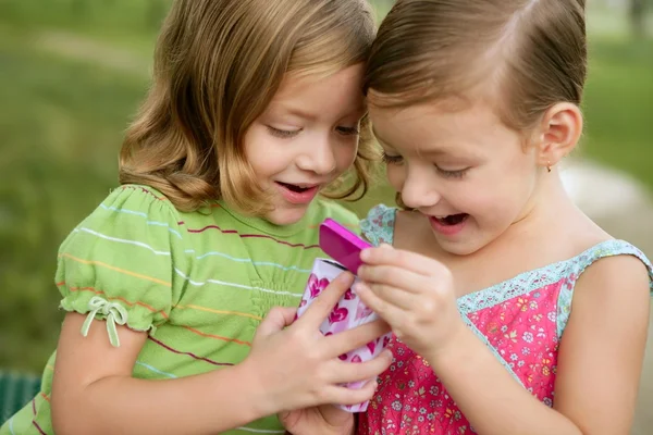 Две маленькие сестры-близнецы играют с розовой коробкой — стоковое фото
