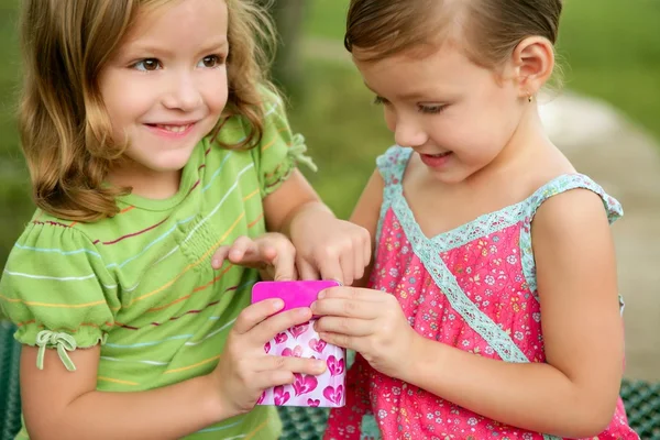 Two little twin sisters playing with pink box — Stock Photo, Image