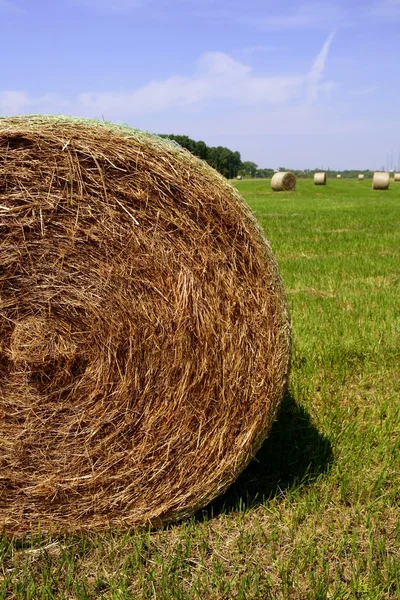 Golden Straw Hay Bales no campo americano — Fotografia de Stock