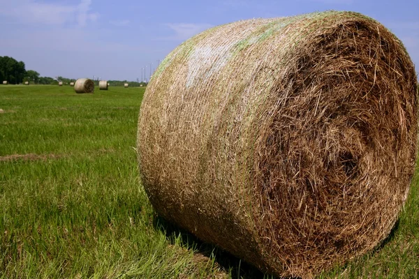 Golden Straw Hay Bales en el campo americano — Foto de Stock