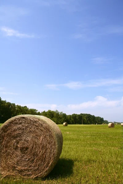 Golden Straw Hay Bales en el campo americano —  Fotos de Stock