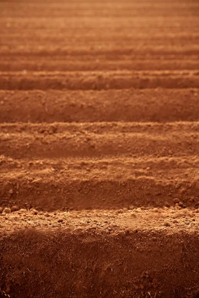 Plogad röd lera jord jordbruk fält — Stockfoto