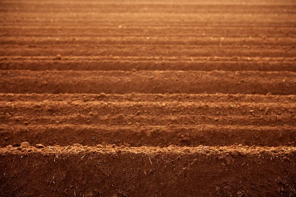 Szántott vörös agyag talajban mezőgazdasági területeken — Stock Fotó