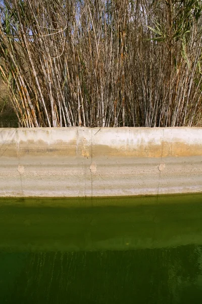 Canal de riego para la agricultura — Foto de Stock