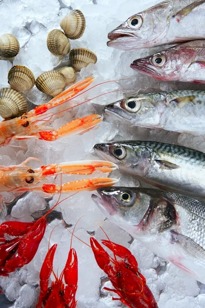 氷の上の市場での魚介類 — ストック写真