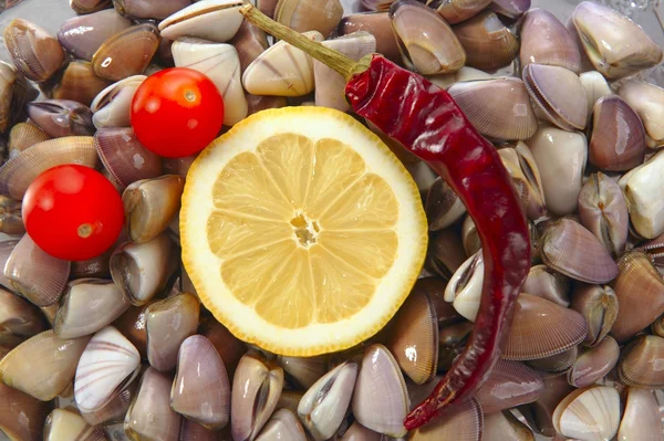 Kokkels, tellin zeevruchten close-up — Stockfoto