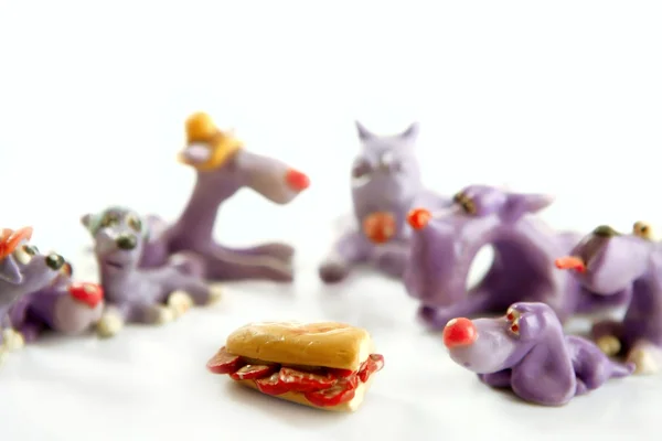 Köpekler yemek için aç Toplantı — Stok fotoğraf