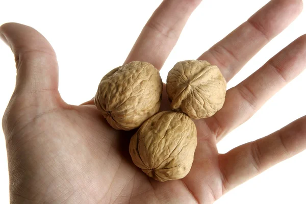 Lidská ruka drží tři ořech — Stock fotografie