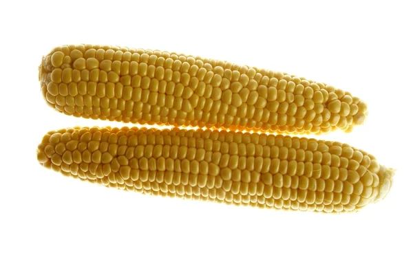 Kukuřičné klásky v žluté barvě — Stock fotografie