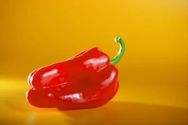 Paprika červená makro oranžové pozadí — Stock fotografie