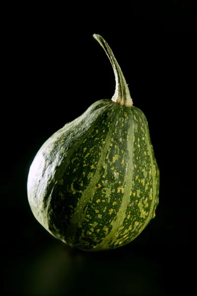 Зелений маленький хеллоуїн гарбуз — стокове фото