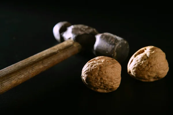 Two walnuts and old aged hammer — Stock Photo, Image