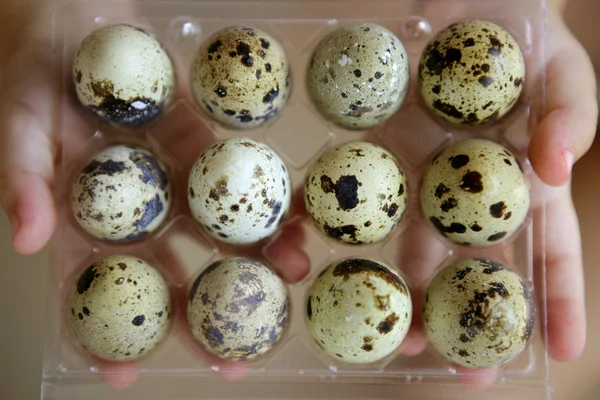 Les mains des enfants tenant des œufs de caille — Photo