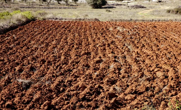 犁过的田野在红色粘土、 西班牙 — 图库照片