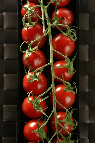 Red tomatoes branch — Stock Photo, Image