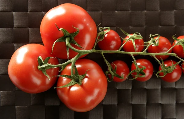 Vermelho grande e pequeno ramo de tomates cereja — Fotografia de Stock
