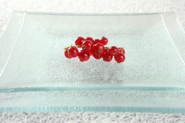 Redcurrant in square glass dish — Stock Photo, Image