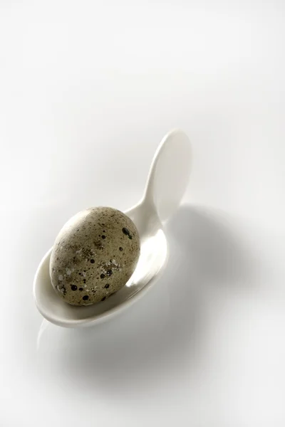 Kwartel ei in een keramische witte lepel — Stockfoto