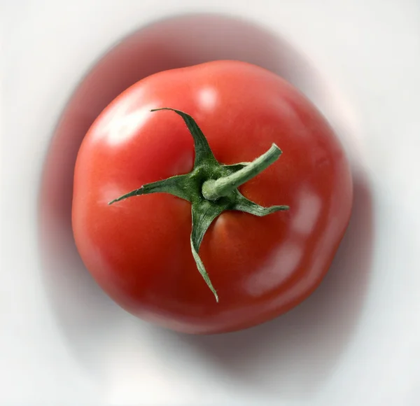 一个简单的红番茄，在一个白盘子里 — 图库照片