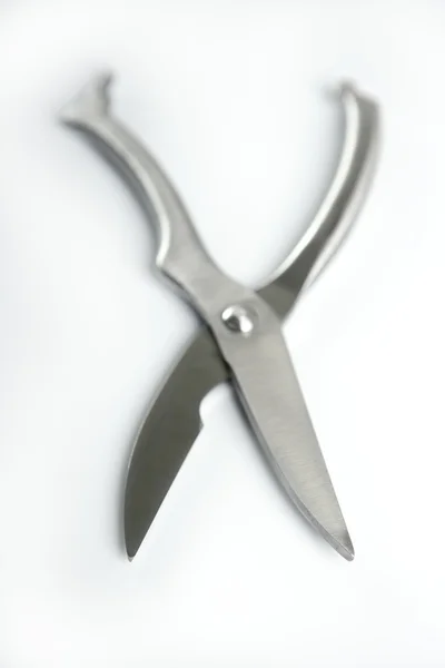 Kuřecí řezbářské nůžky — Stock fotografie