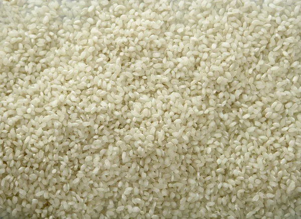 Vitt ris närbild konsistens. bakgrundsmönster — Stockfoto