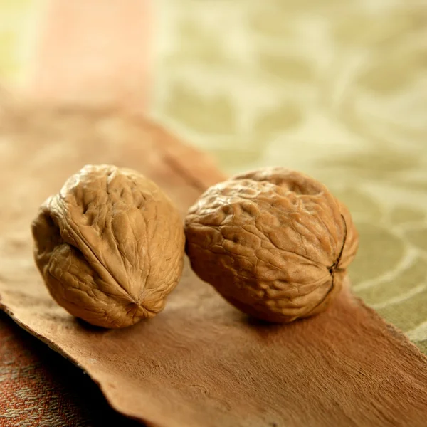 Two walnut over tablecloth — Stock Photo, Image