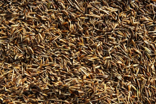 エンバク穀物イメージ。オート麦テクスチャ背景 — ストック写真