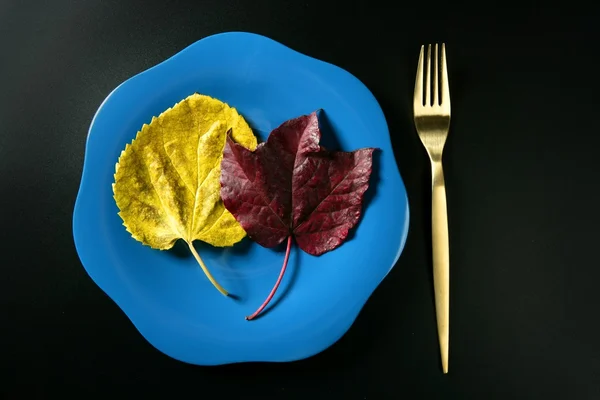 Metaphor, healthy diet low calories colorful vegetarian leaf meal — Stock Photo, Image