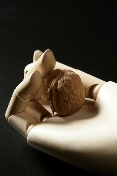 Μανεκέν ξύλινο χέρι που κρατά μία Καρυδί — Φωτογραφία Αρχείου