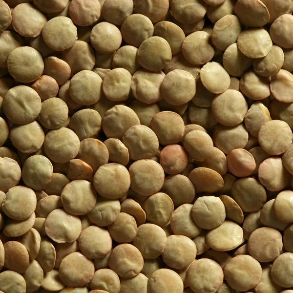 Lentejas macro cultivo textura en color marrón —  Fotos de Stock