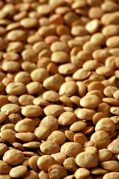 Lentilles texture macro culture de couleur marron — Photo