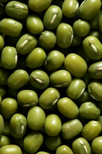 Зеленая соевая текстура — стоковое фото
