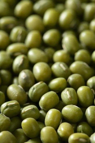 Zelené sójové boby textura — Stock fotografie