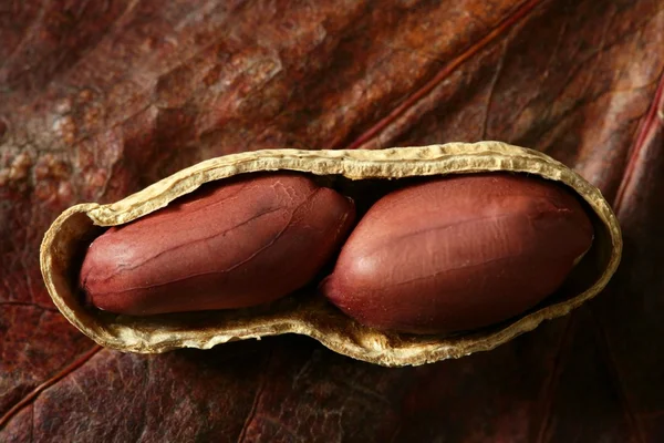 Macro de cacahuetes sobre fondo de madera — Foto de Stock